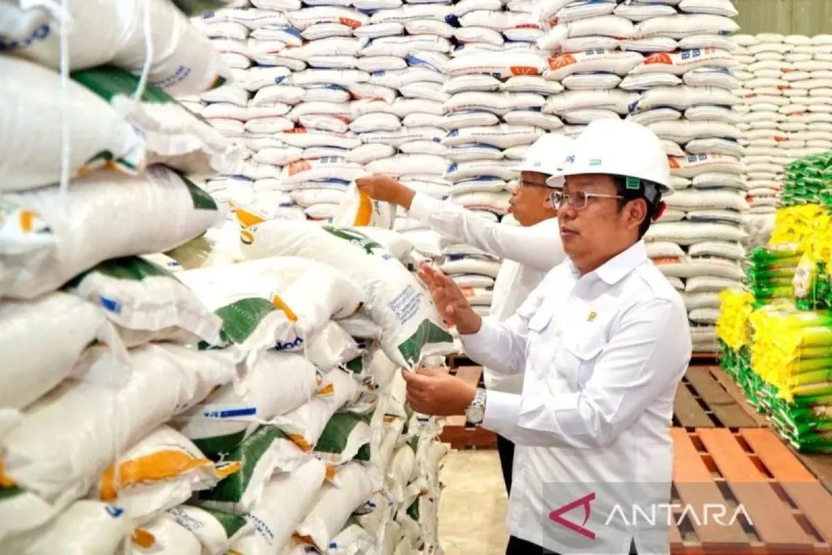 Beras Turun Mutu Bukan Skandal, Tapi Bukti Bulog Masih Bekerja